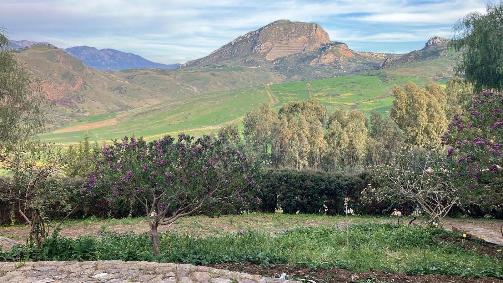Le Case Di Cardellino - Agrispa Sclafani Extérieur photo